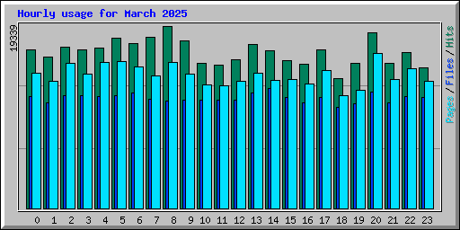 Hourly usage for March 2025